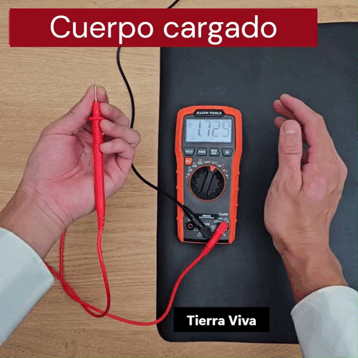 Alfombra TIERRA VIVA