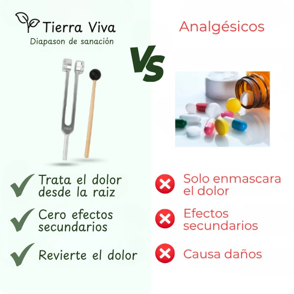 Lote 4 diapasones con funda de cuero