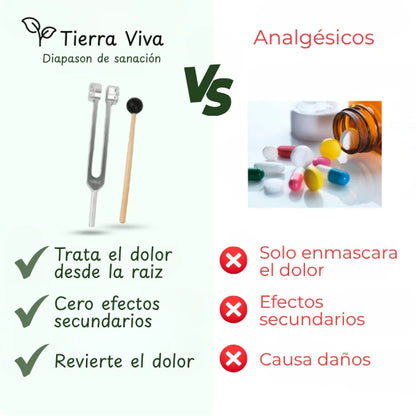 Lote 4 diapasones con funda de cuero