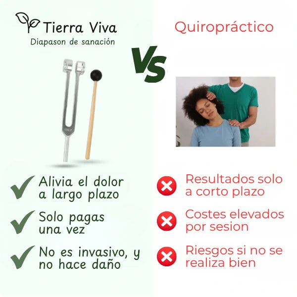 Lote 4 diapasones con funda de cuero