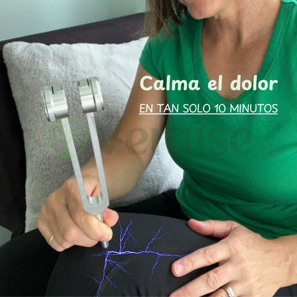 Lote 4 diapasones con funda de cuero