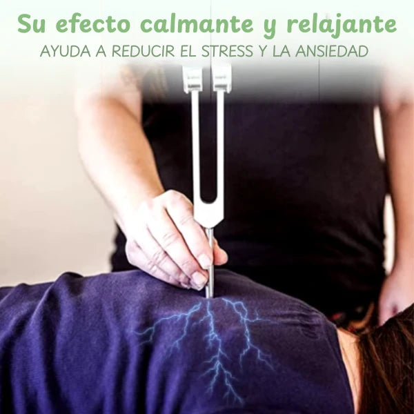 Lote 4 diapasones con funda de cuero