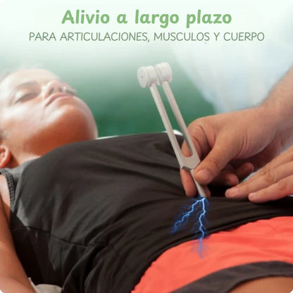 Lote 4 diapasones con funda de cuero