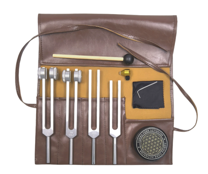 Lote 4 diapasones con funda de cuero